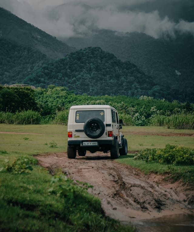 A Wife's Complete Guide For Thrilling And Safe Car Sex