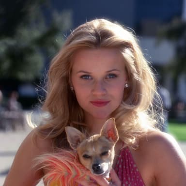 Elle Woods is Back—Here Are 7 Things We Can Learn From Her Unique Brand Of Femininity