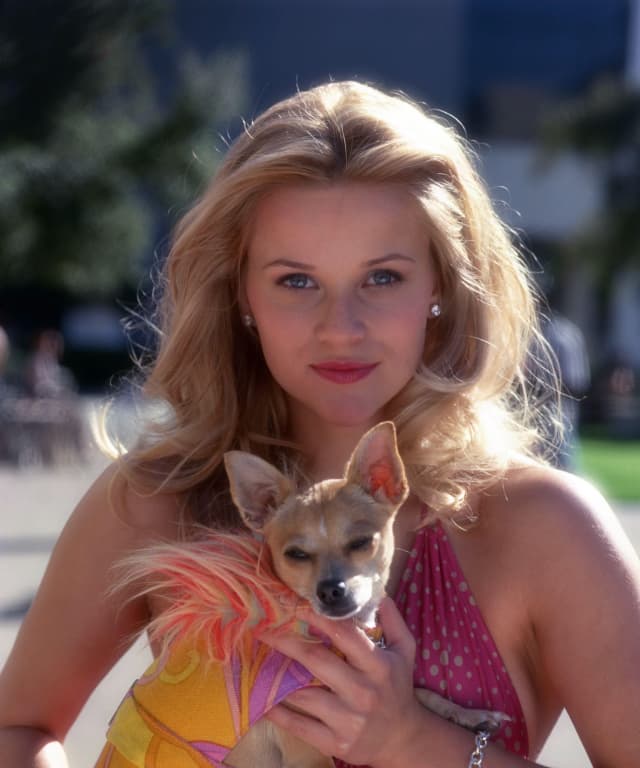 Elle Woods is Back—Here Are 7 Things We Can Learn From Her Unique Brand Of Femininity